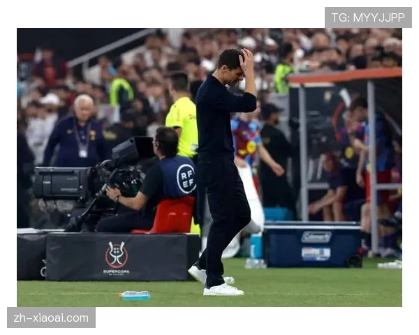 汉堡更衣室存在严重派系斗争，球员不满主教练波尔津保守战术