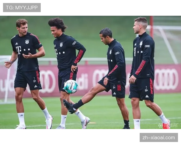 慕尼黑市政府讨论为拜仁新训练基地建设提供交通配套支持